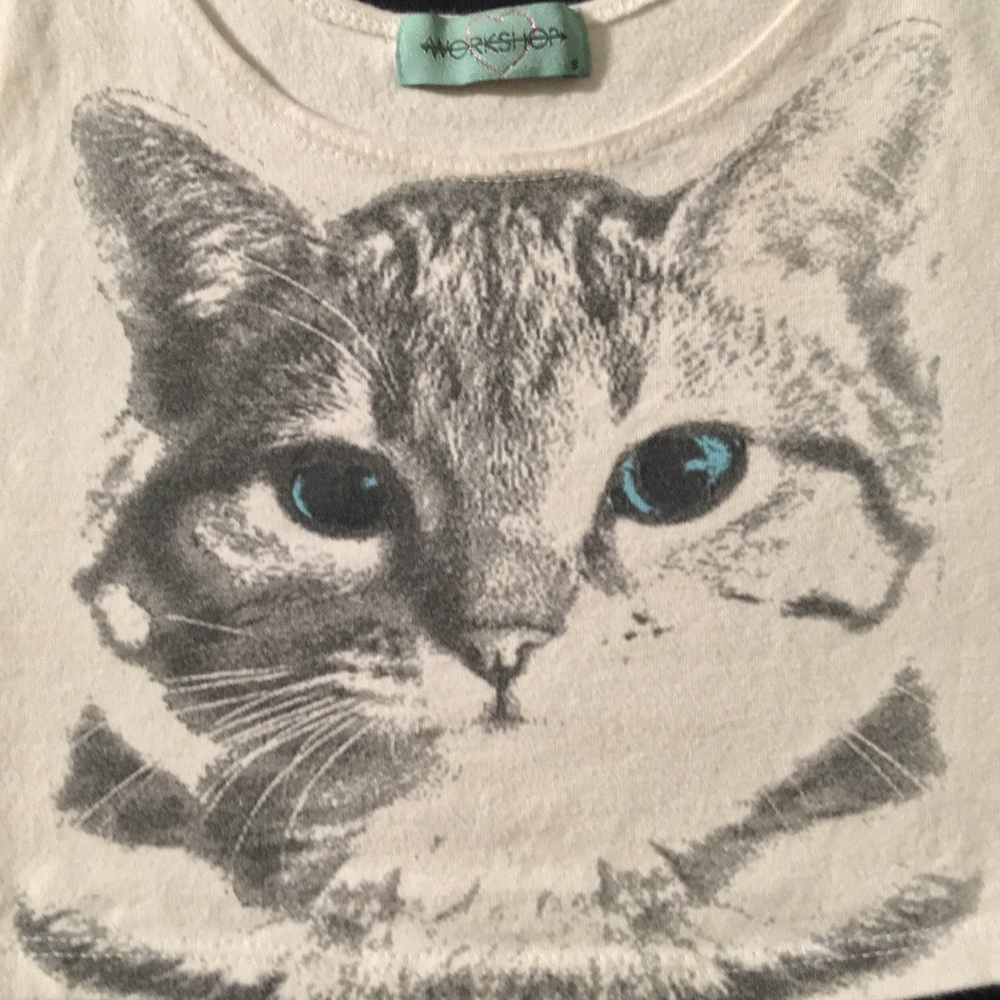 Workshop Brand Kitten Crop Top in Women